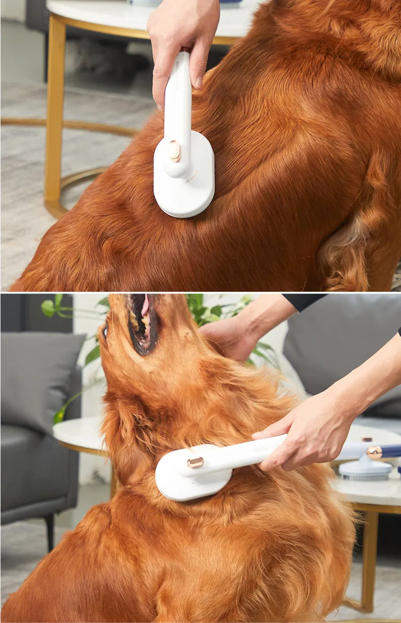 Self-Cleaning Grooming Brush