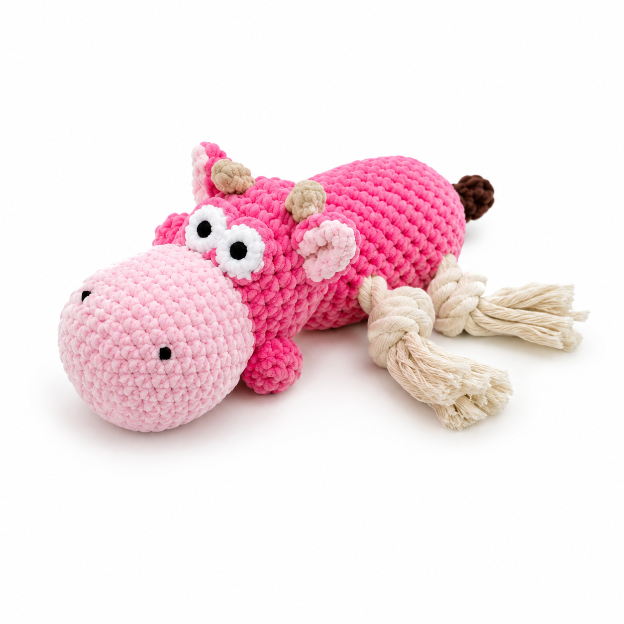 Squeak & Seek Interactive Dog Toy