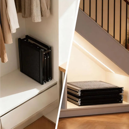 PetSafe Stair Ramp