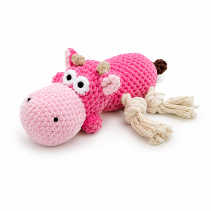 Squeak & Seek Interactive Dog Toy