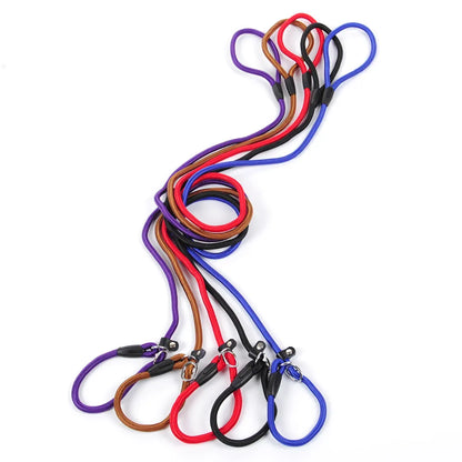 Dog Leash Pro